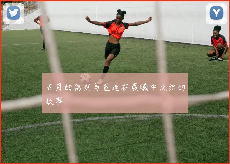 五月的离别与重逢在晨曦中交织的故事